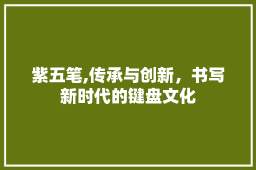 紫五笔,传承与创新，书写新时代的键盘文化 服务器/数据库