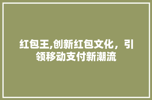 红包王,创新红包文化，引领移动支付新潮流