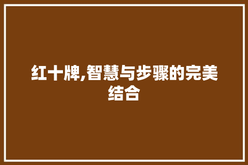红十牌,智慧与步骤的完美结合