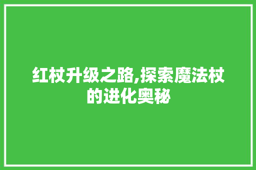 红杖升级之路,探索魔法杖的进化奥秘 建站教程