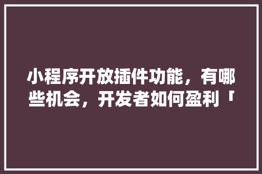 小程序开放插件功能，有哪些机会，开发者如何盈利「wordpress前端用户中心」 小程序开放插件功能，有哪些机会，开发者如何盈利「wordpress前端用户中心」 SEO教程