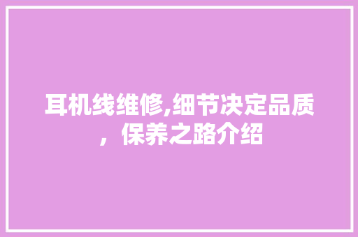 耳机线维修,细节决定品质，保养之路介绍