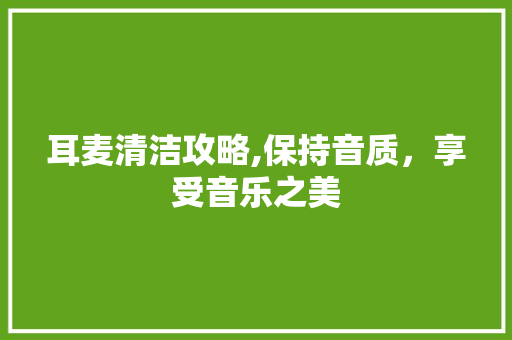 耳麦清洁攻略,保持音质，享受音乐之美