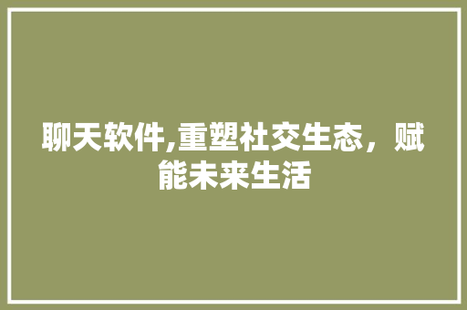 聊天软件,重塑社交生态，赋能未来生活