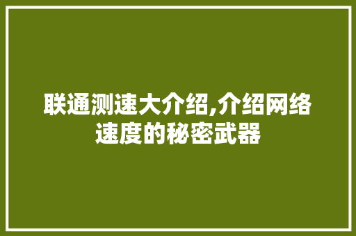 联通测速大介绍,介绍网络速度的秘密武器