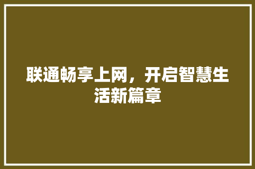 联通畅享上网，开启智慧生活新篇章