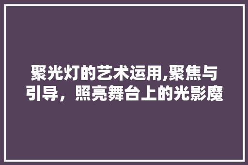 聚光灯的艺术运用,聚焦与引导，照亮舞台上的光影魔术