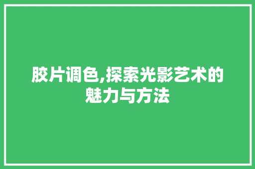 胶片调色,探索光影艺术的魅力与方法