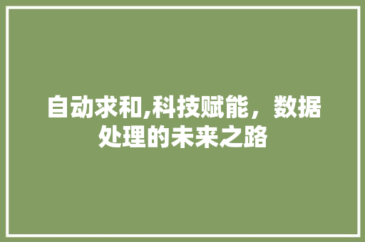 自动求和,科技赋能，数据处理的未来之路