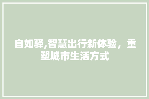 自如驿,智慧出行新体验，重塑城市生活方式