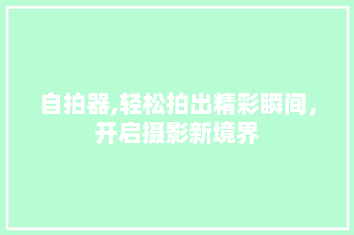 自拍器,轻松拍出精彩瞬间，开启摄影新境界