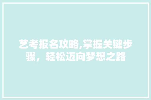 艺考报名攻略,掌握关键步骤，轻松迈向梦想之路