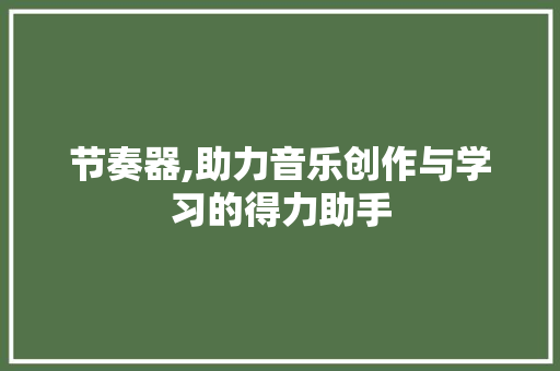 节奏器,助力音乐创作与学习的得力助手