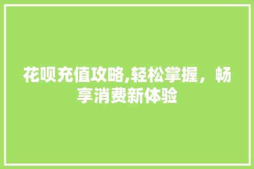 花呗充值攻略,轻松掌握，畅享消费新体验
