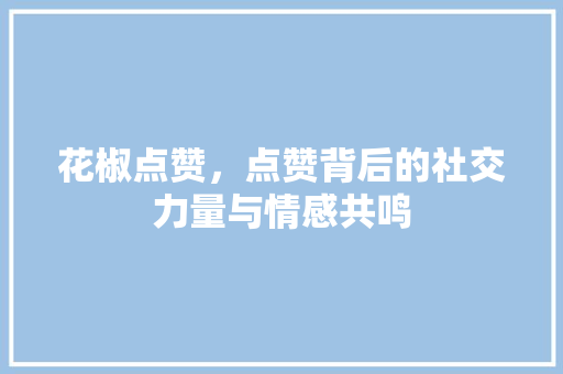 花椒点赞，点赞背后的社交力量与情感共鸣