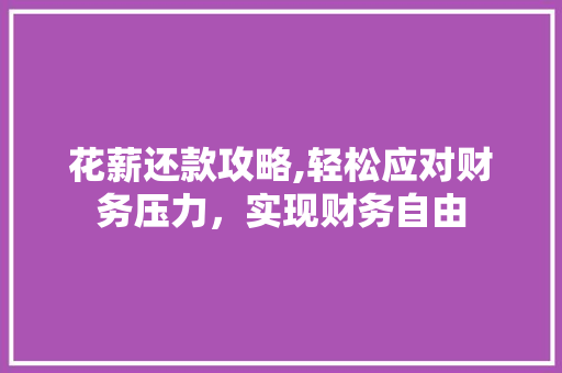 花薪还款攻略,轻松应对财务压力，实现财务自由