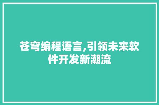 苍穹编程语言,引领未来软件开发新潮流