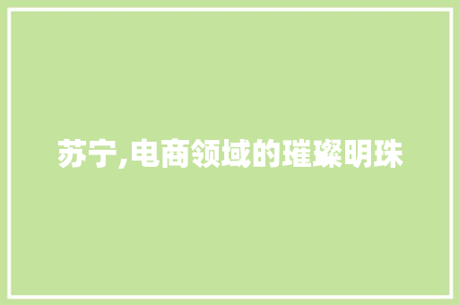 苏宁,电商领域的璀璨明珠