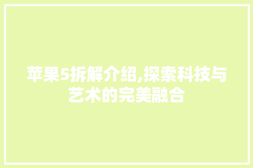苹果5拆解介绍,探索科技与艺术的完美融合