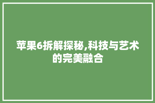 苹果6拆解探秘,科技与艺术的完美融合