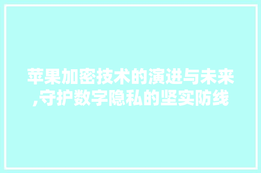 苹果加密技术的演进与未来,守护数字隐私的坚实防线