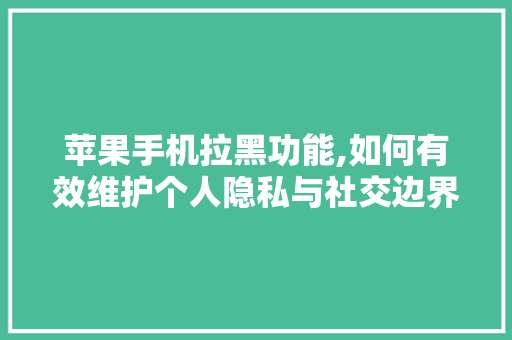 苹果手机拉黑功能,如何有效维护个人隐私与社交边界