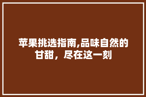 苹果挑选指南,品味自然的甘甜，尽在这一刻