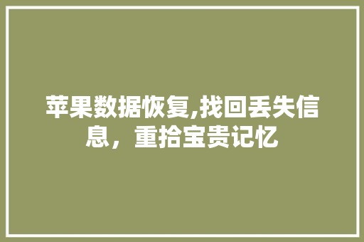 苹果数据恢复,找回丢失信息，重拾宝贵记忆