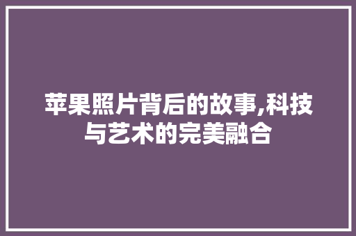 苹果照片背后的故事,科技与艺术的完美融合