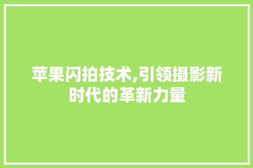 苹果闪拍技术,引领摄影新时代的革新力量