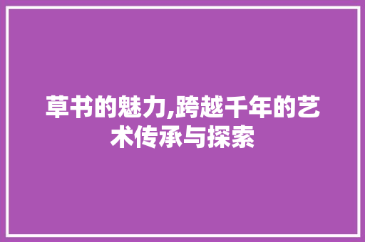 草书的魅力,跨越千年的艺术传承与探索