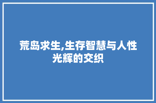 荒岛求生,生存智慧与人性光辉的交织