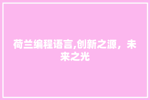 荷兰编程语言,创新之源，未来之光