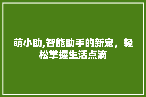 萌小助,智能助手的新宠，轻松掌握生活点滴 WordPress教程