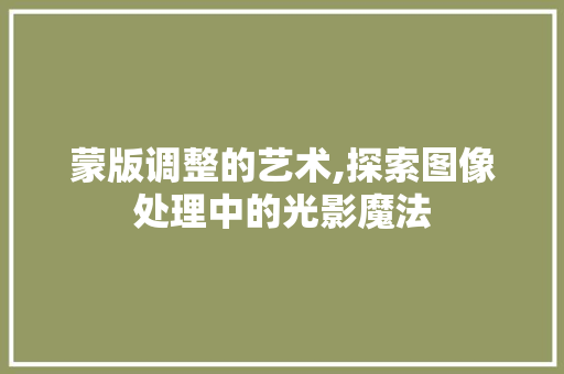蒙版调整的艺术,探索图像处理中的光影魔法