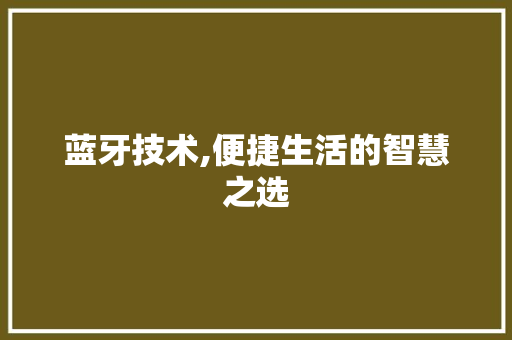 蓝牙技术,便捷生活的智慧之选