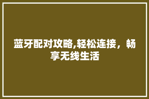 蓝牙配对攻略,轻松连接，畅享无线生活