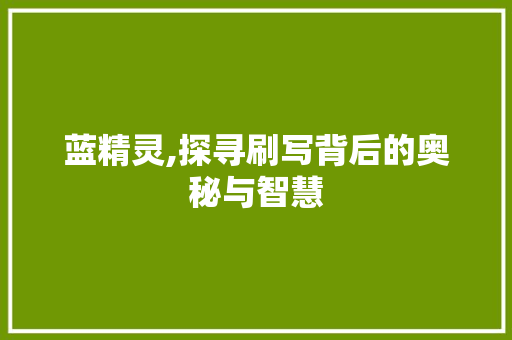 蓝精灵,探寻刷写背后的奥秘与智慧