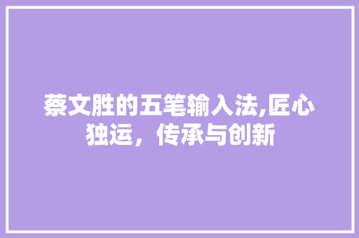 蔡文胜的五笔输入法,匠心独运，传承与创新