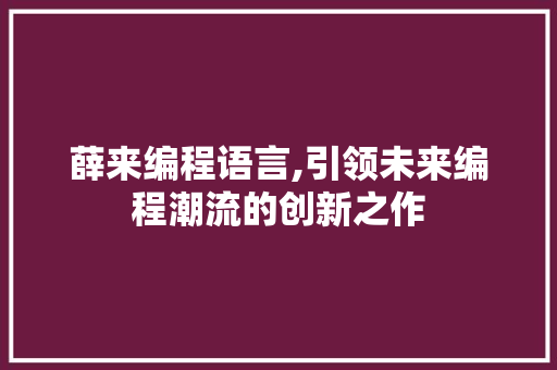 薛来编程语言,引领未来编程潮流的创新之作