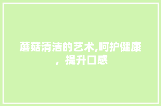 蘑菇清洁的艺术,呵护健康，提升口感