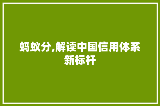 蚂蚁分,解读中国信用体系新标杆