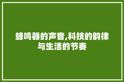 蜂鸣器的声音,科技的韵律与生活的节奏