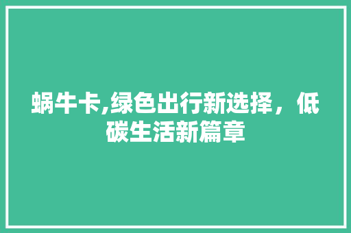 蜗牛卡,绿色出行新选择，低碳生活新篇章
