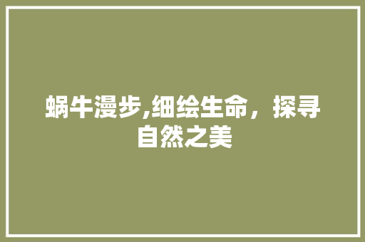 蜗牛漫步,细绘生命，探寻自然之美