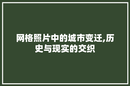 网格照片中的城市变迁,历史与现实的交织