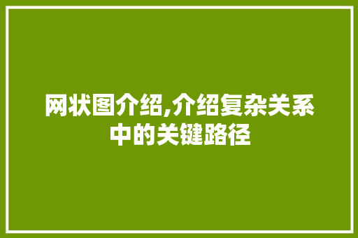 网状图介绍,介绍复杂关系中的关键路径