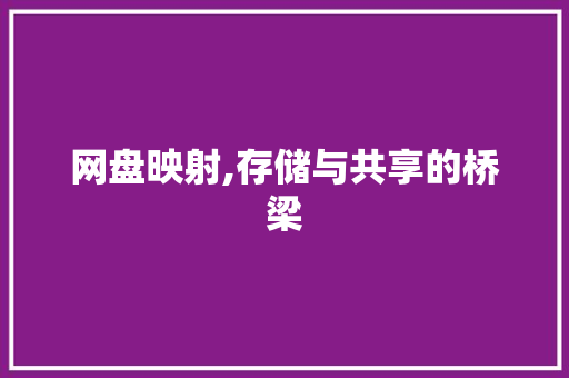 网盘映射,存储与共享的桥梁