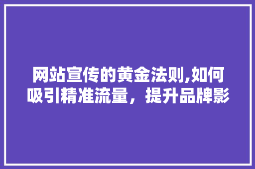 网站宣传的黄金法则,如何吸引精准流量，提升品牌影响力