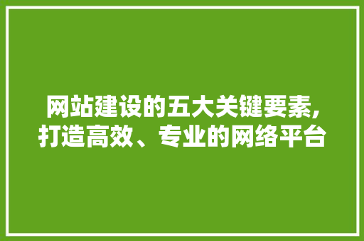 网站建设的五大关键要素,打造高效、专业的网络平台